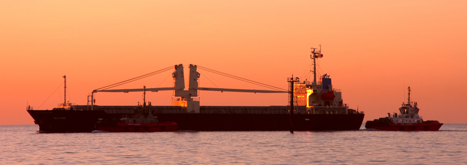 force twins shipping